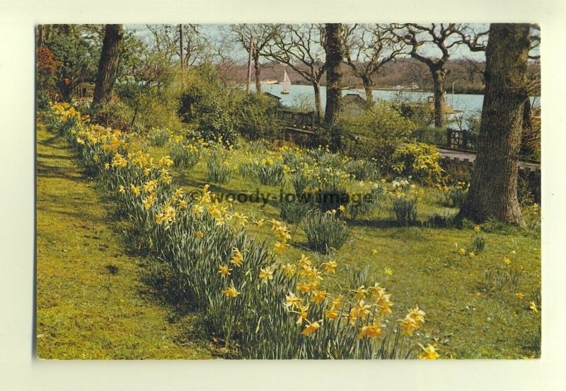 h0794 - Wootton Creek , Isle of Wight - postcard by Dixon