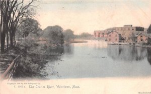 The Charles River Watertown, Massachusetts Postcard