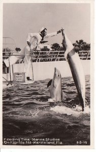 Postcard RPPC Feeding Time Marine Studios Florida Marineland FL