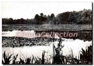 Postcard Modern Ouen en Belin Sarthe Etang de Clairefontaine