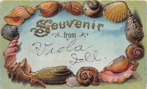 F91/ Viola Shell Border Illinois Greetings from Postcard c1910