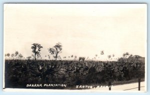 RPPC SANTOS, BRAZIL ~ View of BANANA PLANTATION ca 1920s Real Photo  Postcard