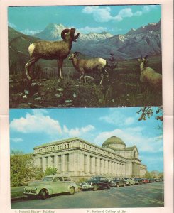 Smithsonian Institution Washington DC, DINOSAUR, Museum, Zoo, Souvenir Folder