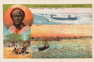 Victorian Trade Card Les Colonies Françaises Le Sénègal  Senegal Africa L1