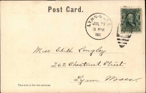 Boston Massachusetts MA Panoramic View Copper Windows c1910 Postcard