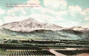 Mt. San Bernardino & Highland Orange Groves Snow Mountains CA Vintage Postcard