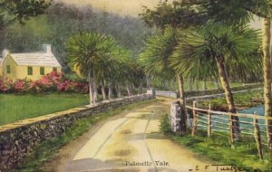 bermuda, Palmetto Vale (1930s) Ethel & Tucker No. 19 Postcard