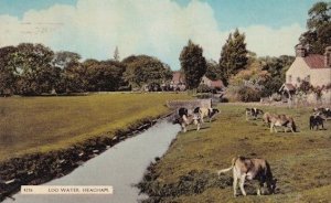 Log Water Heacham Norfolk Old Postcard With Dr Barnardos Postmark Postcard