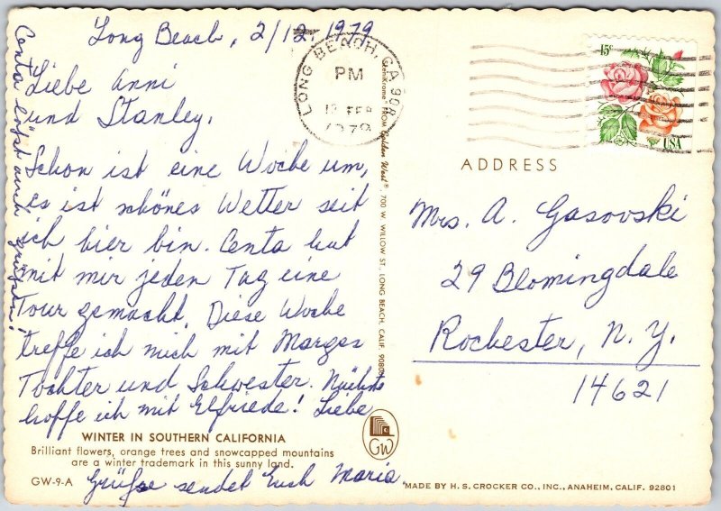 1979 Brilliant Flower Orange Snow-Capped Mountains California CA Posted Postcard