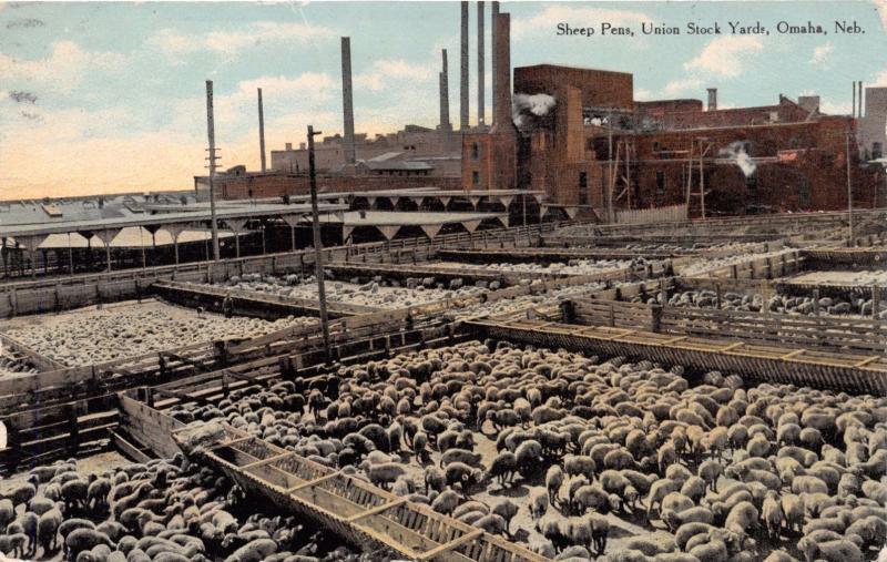 OMAHA NEBRASKA SHEEP PEN~UNION STOCK YARDS~BARLALOW PUBL POSTCARD 1910 PSTMK