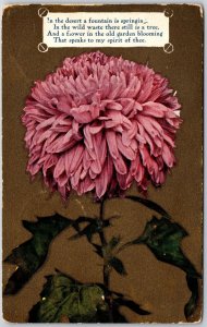 1909 Pink Flower Large Print Greetings & Wishes Gold Background Posted Postcard