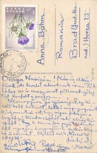 Postcard flowers Hungary yellow roses