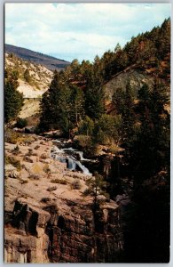 Vtg Wyoming WY Shell Creek Falls Big Horn Mountains 1960s View Postcard