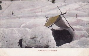 Alaska Winter Stable 1909