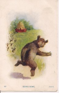 Bear Running from Bees, Bee Hive, Beekeeping 1905, Honey Bear