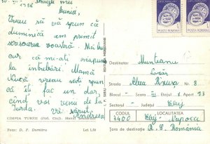 Postcard Campia Turzii Hanul Pescarilor