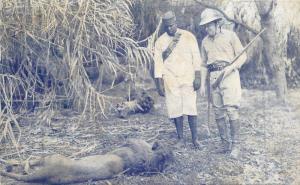 Big Game lion hunter Movie Scene 1933 postcard 8107