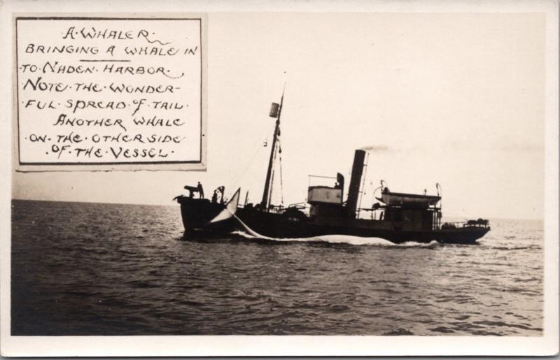 Whaling Ship with Whale Naden Harbour Haida Gwaii BC Whalers RPPC Postcard E20