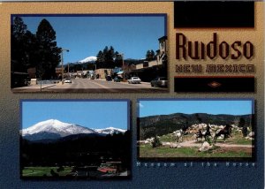 2~4X6 Postcards Ruidoso, NM New Mexico  HORSES & STREET SCENES Christmas Lights