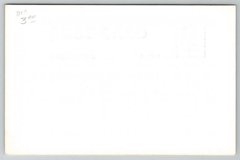 RPPC Mt Ranier And Ohop Valley Washington Postcard V29