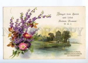 240411 BIRTHDAY Aster AURUMN Flowers C. KLEIN Vintage postcard