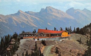 Alberta, Canada  SUMMIT TEA HOUSE~Banff National Park VINTAGE Chrome Postcard