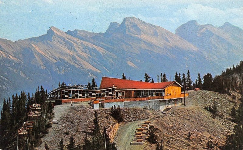 Alberta, Canada  SUMMIT TEA HOUSE~Banff National Park VINTAGE Chrome Postcard