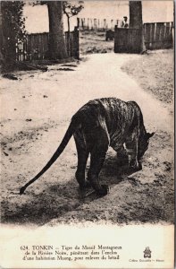 Vietnam Cochinchina Hanoi Tonkin Tigre Tiger Vintage Postcard C062