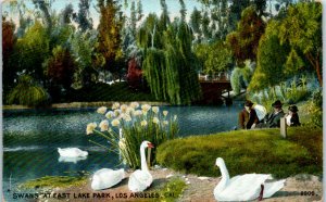 1908 Swans at East Lake Park Los Angeles California Postcard