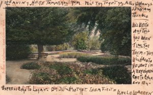 Vintage Postcard 1906 City Park Riverside California CA M. Reider Publication