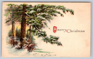 A Merry Christmas, Rural Woodland Winter Scene, Antique Winsch Back Postcard