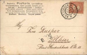 Fruit Grapes Handmade Hand Painted c1910 Postcard