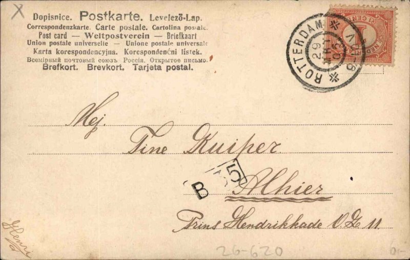 Fruit Grapes Handmade Hand Painted c1910 Postcard