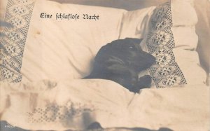 RPPC GERMANY DOG IN BED SLEEPLESS NIGHT STUDIO REAL PHOTO POSTCARD (c.1910)