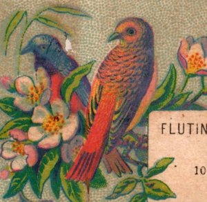 1870s-80s Hunt's Fluting Machine Colorful Wild Birds P81