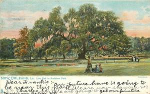 Audubon Park Oak New Orleans Louisiana 1907 Tuck undivided postcard 192