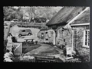 Dorset KIMMERIDGE Village Shop c1970's RP Postcard by P.G.C.Co.
