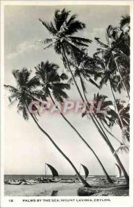  Modern Postcard Palms by the Sea Mount Lavinia Ceylon Boats