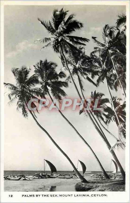  Modern Postcard Palms by the Sea Mount Lavinia Ceylon Boats