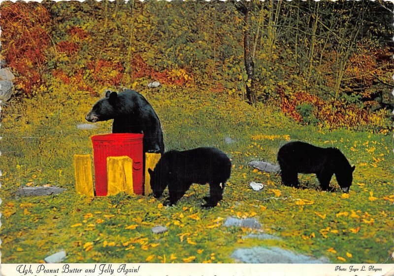 us7087 peanut butter and jelly again black bears canada