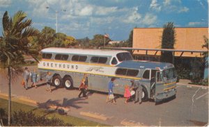 Lot 32 usa the super scenicruiser bus greyhound