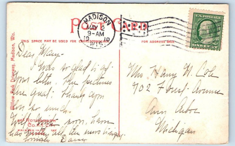 MADISON, WI ~ HORSEDRAWN BUGGY Tree Lined Drive 1910 Rotograph Postcard