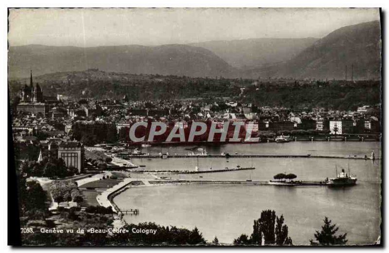 Old Postcard Geneva saw Beau Cedre Cologny