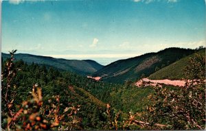 Cloudcroft Overlook New Mexico NM Top World Postcard UNP VTG Schaaf Unused