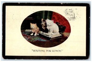 1911 Cute Kittens Cat Waiting For Lunch Bridgeport Connecticut CT Postcard