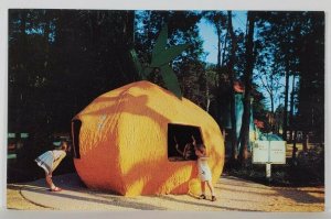 Neptune NJ Storyland Village Pumpkin for Peter Peter & His Wife Postcard S1