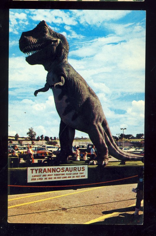 Glen Rose, Texas/TX Postcard, Tyrannosaurus Rex, Giant Dinosaur Tracks