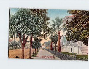 Postcard Residence Street Petaluma California USA