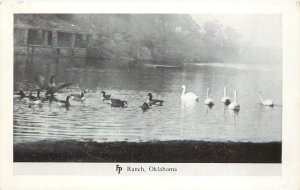 Postcard FP Ranch Oklahoma Dude Ranch & Wild West Show Ducks And Geese