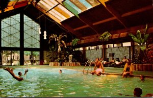 Minnesota Minneapolis The Curtis Hotel and Motor Lodge Tropical Pool